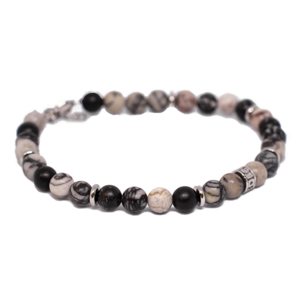 THE ODYSSEY COLLECTION